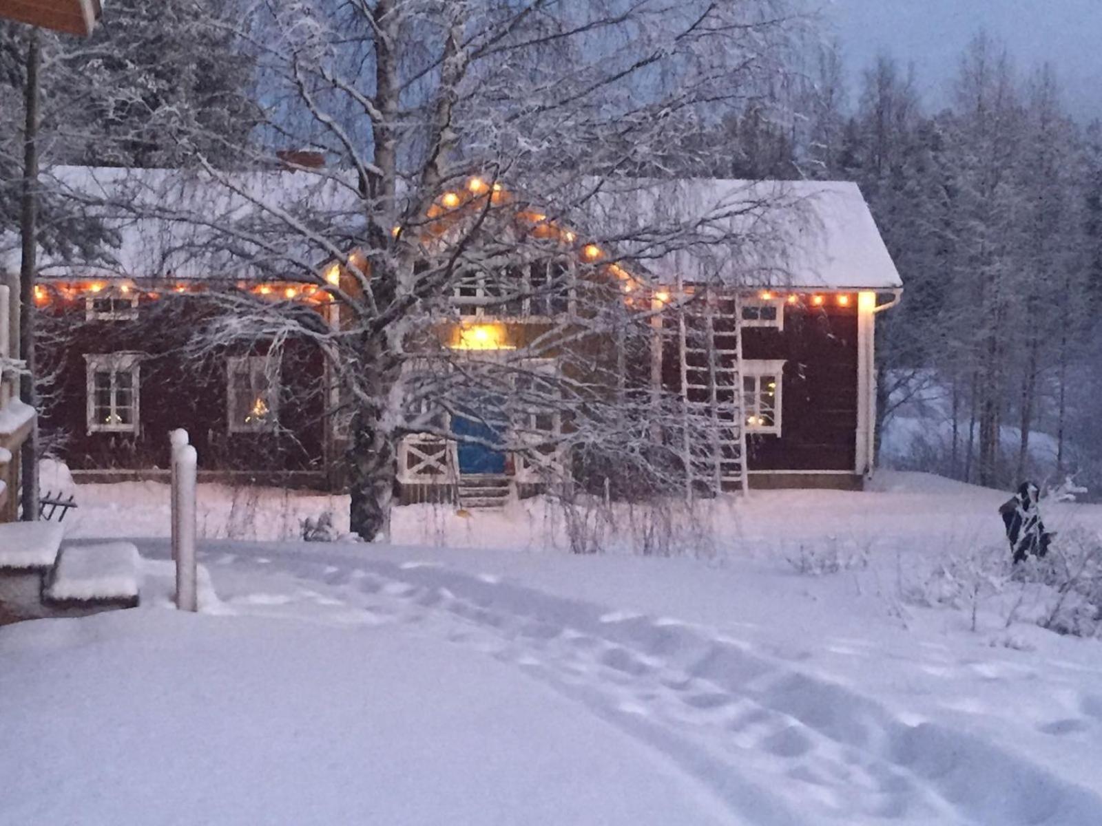 Korvala Log Cabins Kültér fotó